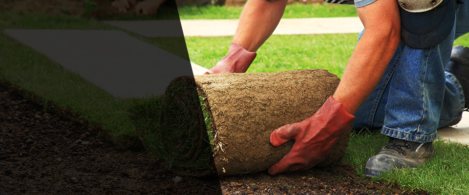 Tobaccoville Landscapers